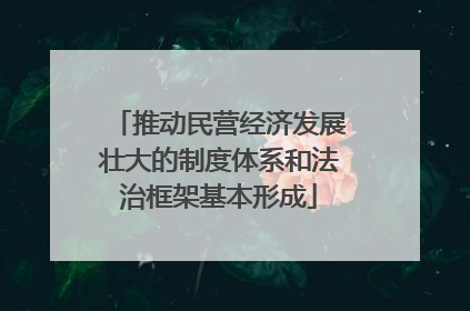 推动民营经济发展壮大的制度体系和法治框架基本形成