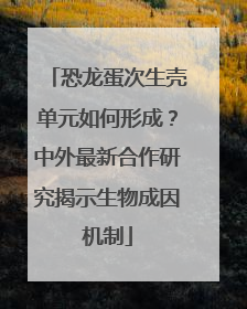恐龙蛋次生壳单元如何形成？中外最新合作研究揭示生物成因机制