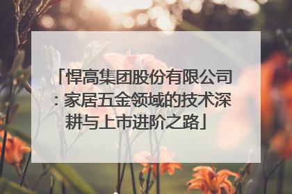 悍高集团股份有限公司：家居五金领域的技术深耕与上市进阶之路