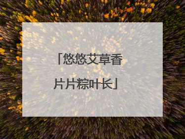 悠悠艾草香 片片粽叶长