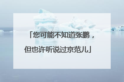 您可能不知道张鹏，但也许听说过京范儿
