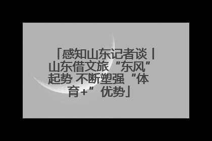 感知山东记者谈丨山东借文旅“东风”起势 不断塑强“体育+”优势