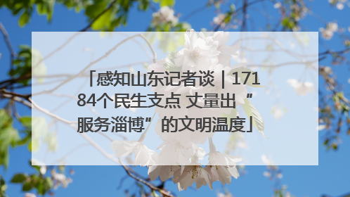 感知山东记者谈｜17184个民生支点 丈量出“服务淄博”的文明温度
