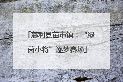 慈利县苗市镇：“绿茵小将”逐梦赛场