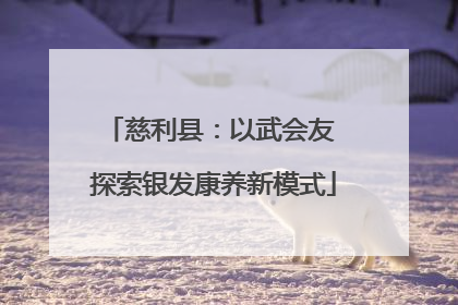 慈利县：以武会友 探索银发康养新模式