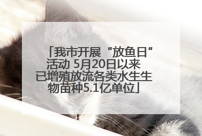 我市开展“放鱼日”活动 5月20日以来已增殖放流各类水生生物苗种5.1亿单位