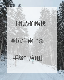扎克伯格找到元宇宙“杀手级”应用