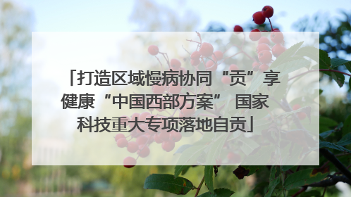 打造区域慢病协同“贡”享健康“中国西部方案” 国家科技重大专项落地自贡