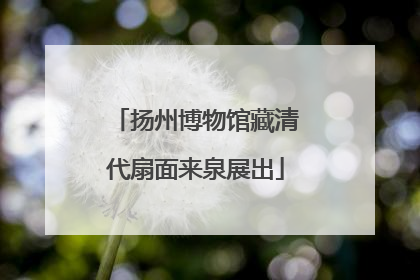 扬州博物馆藏清代扇面来泉展出