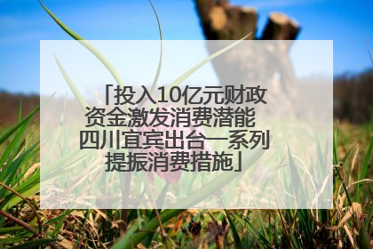 投入10亿元财政资金激发消费潜能 四川宜宾出台一系列提振消费措施