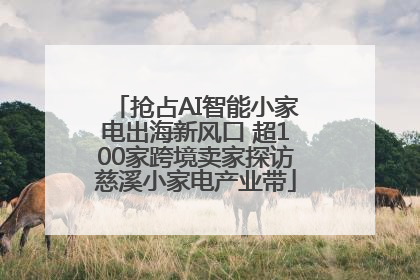 抢占AI智能小家电出海新风口 超100家跨境卖家探访慈溪小家电产业带