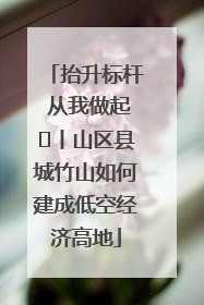 抬升标杆 从我做起⑭丨山区县城竹山如何建成低空经济高地