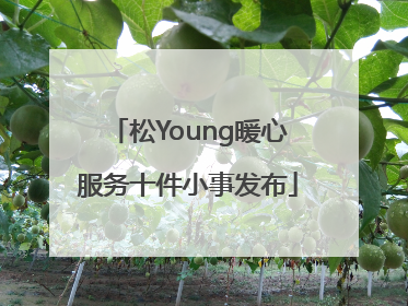 松Young暖心服务十件小事发布