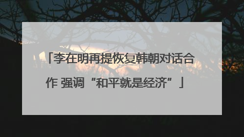 李在明再提恢复韩朝对话合作 强调“和平就是经济”