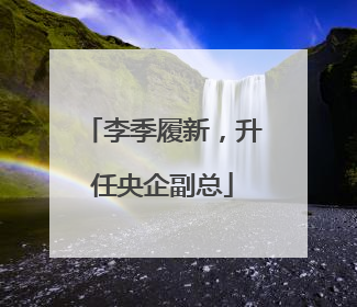 李季履新，升任央企副总