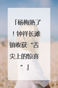 杨梅熟了！钟祥长滩镇收获“舌尖上的惊喜”