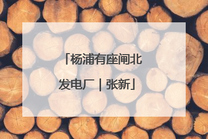 杨浦有座闸北发电厂｜张新