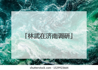 林武在济南调研
