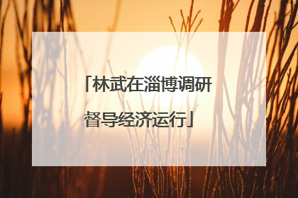 林武在淄博调研督导经济运行