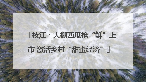 枝江：大棚西瓜抢“鲜”上市 激活乡村“甜蜜经济”