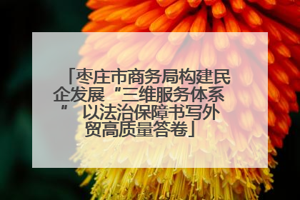 枣庄市商务局构建民企发展“三维服务体系” 以法治保障书写外贸高质量答卷