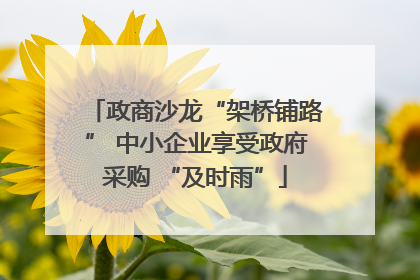 政商沙龙“架桥铺路” 中小企业享受政府采购 “及时雨”