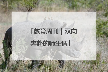 教育周刊｜双向奔赴的师生情