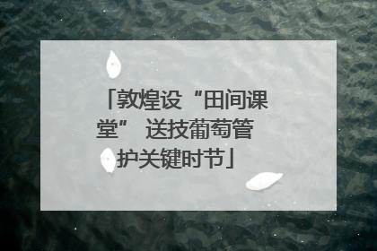 敦煌设“田间课堂” 送技葡萄管护关键时节