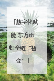 数字化赋能 东方雨虹全链“智变”