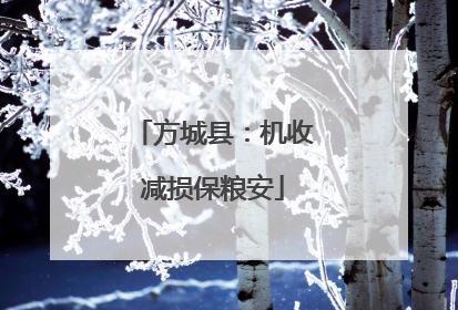 方城县：机收减损保粮安