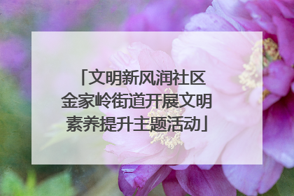 文明新风润社区 金家岭街道开展文明素养提升主题活动