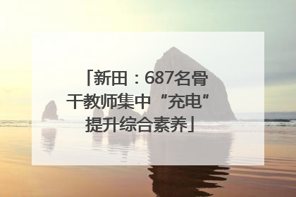 新田：687名骨干教师集中“充电” 提升综合素养