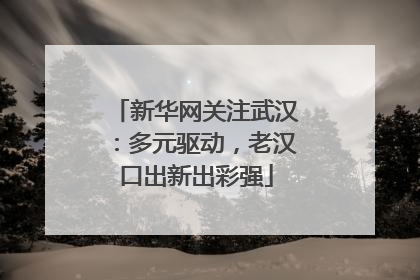 新华网关注武汉：多元驱动，老汉口出新出彩强