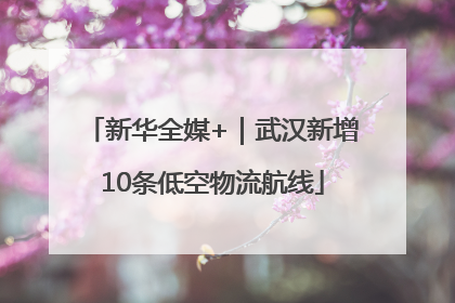 新华全媒+｜武汉新增10条低空物流航线