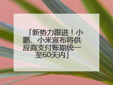 新势力跟进！小鹏、小米宣布将供应商支付账期统一至60天内