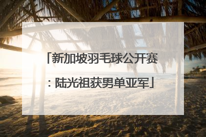 新加坡羽毛球公开赛：陆光祖获男单亚军