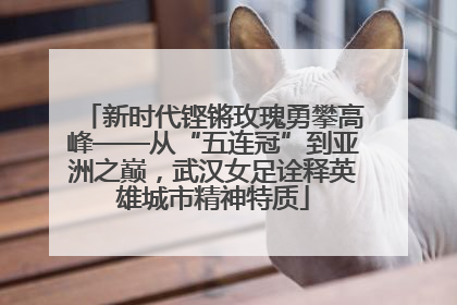 新时代铿锵玫瑰勇攀高峰——从“五连冠”到亚洲之巅，武汉女足诠释英雄城市精神特质