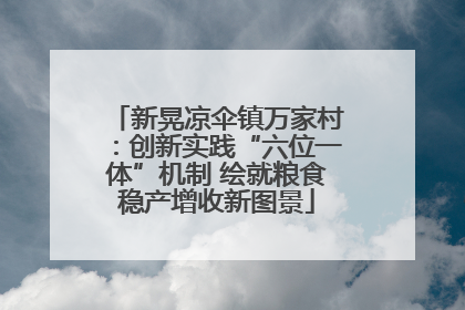 新晃凉伞镇万家村：创新实践“六位一体”机制 绘就粮食稳产增收新图景
