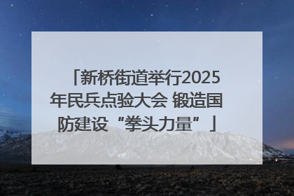 新桥街道举行2025年民兵点验大会 锻造国防建设“拳头力量”