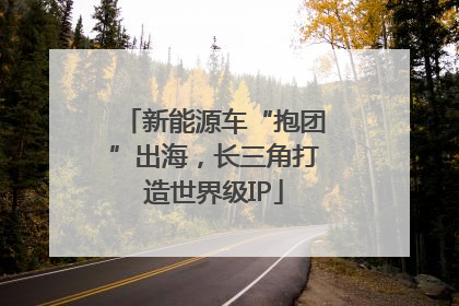 新能源车“抱团”出海，长三角打造世界级IP