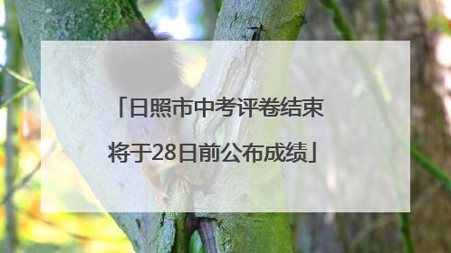 日照市中考评卷结束 将于28日前公布成绩