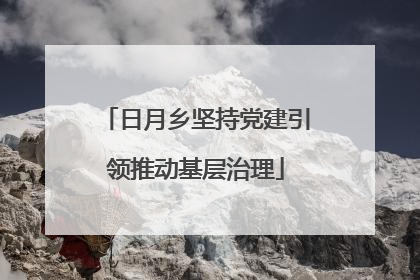 日月乡坚持党建引领推动基层治理