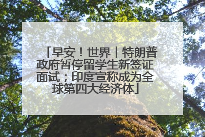 早安！世界丨特朗普政府暂停留学生新签证面试；印度宣称成为全球第四大经济体