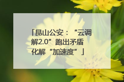 昆山公安：“云调解2.0”跑出矛盾化解“加速度”