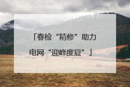 春检“精修”助力电网“迎峰度夏”