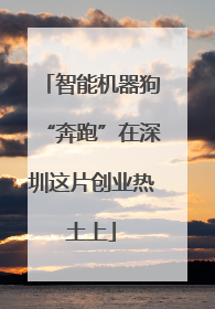 智能机器狗“奔跑”在深圳这片创业热土上