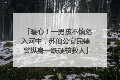 暖心！一男孩不慎落入河中，苏仙公安民辅警纵身一跃硬核救人