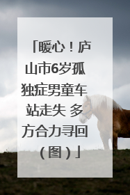 暖心！庐山市6岁孤独症男童车站走失 多方合力寻回（图）