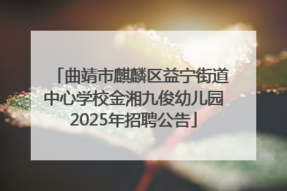 曲靖市麒麟区益宁街道中心学校金湘九俊幼儿园2025年招聘公告