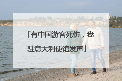 有中国游客死伤，我驻意大利使馆发声